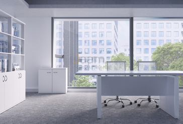 Кабинет руководителя Steel Evo