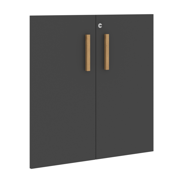 FLD_40_2_Z__Dveri_s_zakom_grafit.png