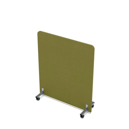 011.MP.1012_kiwi.jpg